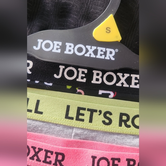 Boxer - Picture 3 of 4